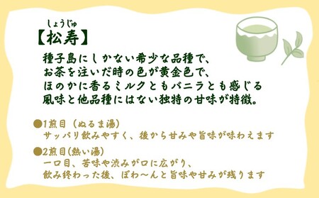 【 R8年産 】種子島  射場貴大 茶園  「松寿」 「くりわたせ」 「しまみどり」　「みねゆたか」 種子島 限定 4茶葉セット　NFN571 【350pt】 // 日本茶 緑茶 希少品種 お茶 新茶