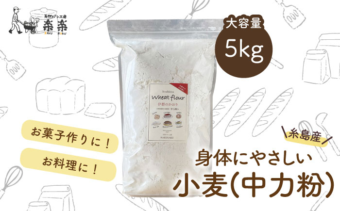 
                  【 糸島産 小麦 使用 】 伊都 の かおり ( 中力粉 ) 5kg 《糸島》 【天然パン工房楽楽】 【いとしまごころ】 [AVC062]
                