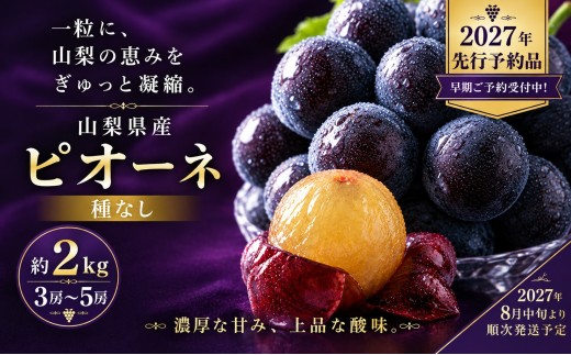 【2027年先行予約】山梨県産 種なし ピオーネ 3～5房（約2.0kg） ぶどう budou BUDOU 葡萄 ブドウ フルーツ 果物 くだもの デザート 黒葡萄 黒ブドウ 黒ぶどう 濃厚【アズールヤード】