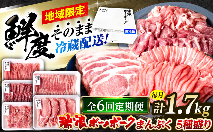 【6回定期便】※冷蔵配送/地域限定※ 岐阜県産 豚 瑞浪ボーノポーク まんぷく 5種盛り 1.7kg (ロースしゃぶしゃぶ・肩ロース焼肉・バラスライス・小間切・ローステキカツ) 瑞浪市 / きなぁた瑞