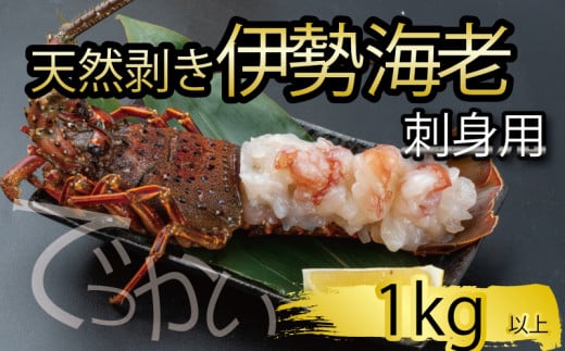 でっかい天然伊勢海老  刺身用 1kg以上 冷凍 ( 特大サイズ 急速冷凍 えび エビ 高級 鮮魚 海鮮 魚介 刺身 焼き物 汁物 ギフト 贈答 贈り物 祝い 歳暮 中元 年末 年始 早期 予約 ) IKY100