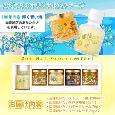 ふるさと納税 肝付町 <世界でここだけ果実>調味料で手軽に味わう入門セット!GI(地理的表示)登録産品!　A20005 |  | 03