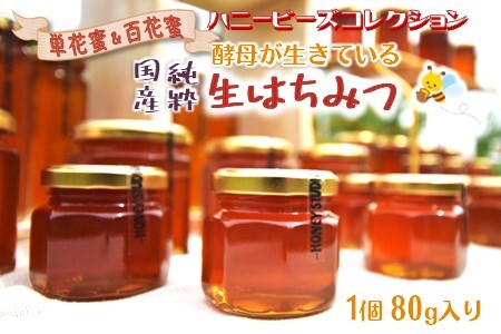 国産純粋生はちみつ ハニービーズコレクション“しろいの季節” 80g お試しサイズ 純粋はちみつ 非加熱 添加物なし 百花蜜 単花蜜 国産はちみつ 生はちみつ100% 美味しい