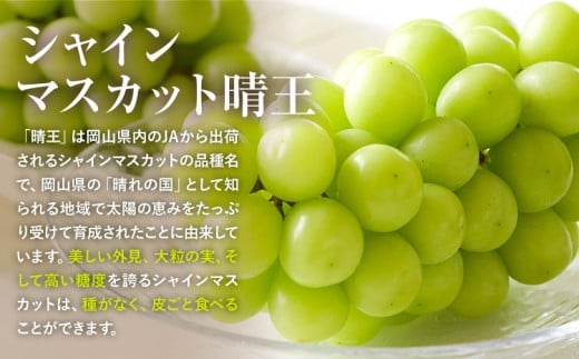 【先行予約】 岡山県産 シャインマスカット「晴王」とニューピオーネ 計 1kg 株式会社はちや《6月下旬～7月下旬頃頃出荷》岡山県 浅口市 ぶどう 葡萄 フルーツ ギフト 果物 デザート 国産【配送不