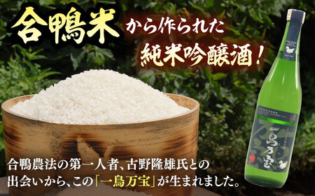 　【純米酒】 一鳥万宝 720ml（甘口）） 桂川町/瑞穂菊酒造[ADBF003]
