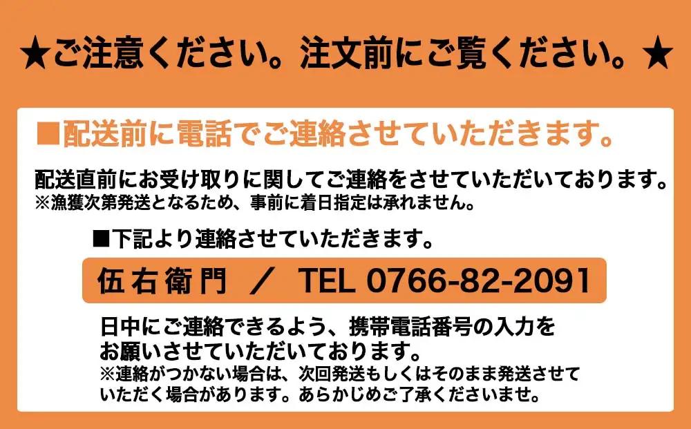 【伍右衛門】新湊産紅ズワイガニ約2kg（4～6尾）｜ずわい蟹 ずわいガニ ズワイガニ ※2026年9月～発送 ※発送まで1か月以上かかる場合があります。