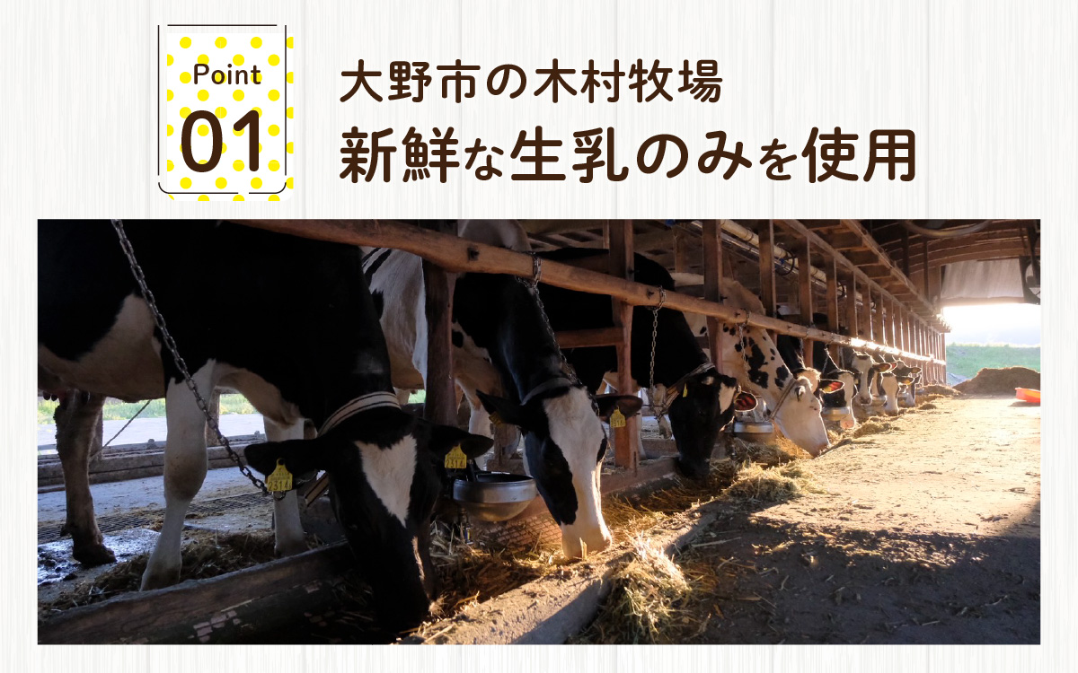 越前大野の「名水育ち生乳ジェラート」おまかせ 8個セット