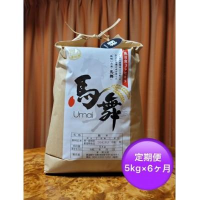 ふるさと納税 十日町市 【毎月定期便】魚沼産コシヒカリ[馬舞] 白米 5kg全6回