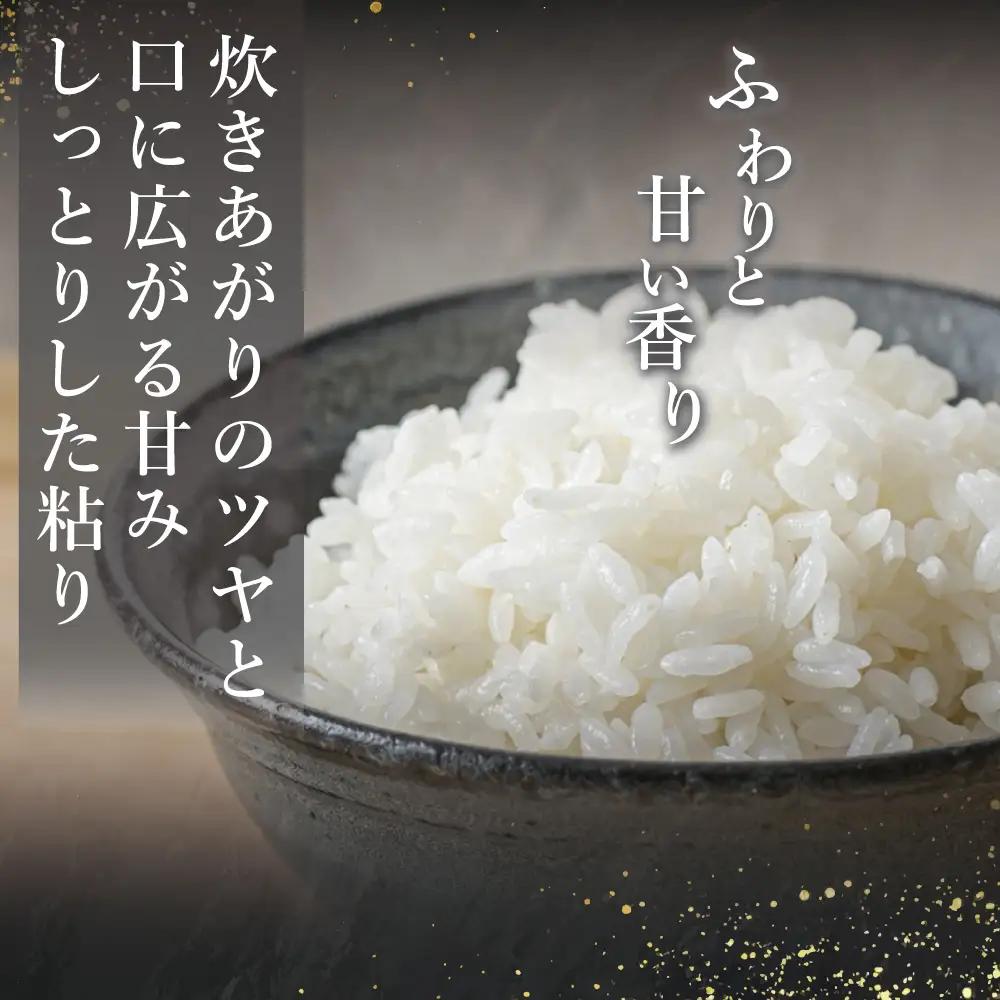 こしひかり  5kg 令和7年度産 精米 福島県新地町産