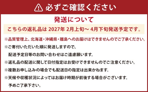 大粒あまおう 4パック 計約1000～1080g あまおう いちご イチゴ 苺 果物 くだもの フルーツ【2027年2月上旬～4月下旬発送予定】
