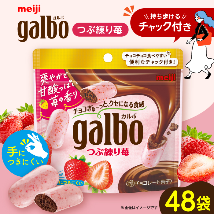 明治 ガルボつぶ練り苺パウチ 58g×48袋セット チョコレート 明治 ガルボ チョコ 大容量 大阪府高槻市/株式会社 丸正高木商店[AOAA029]