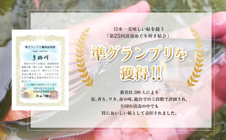 予約受付【期間限定】（2025年8月上旬頃から発送）幻の弓掛鮎 5尾セット（総重量 300g以上）【冷凍パック】鮎 あゆ アユ ゆがけ 下呂市 金山 クラブハウス馬瀬川【107-1】