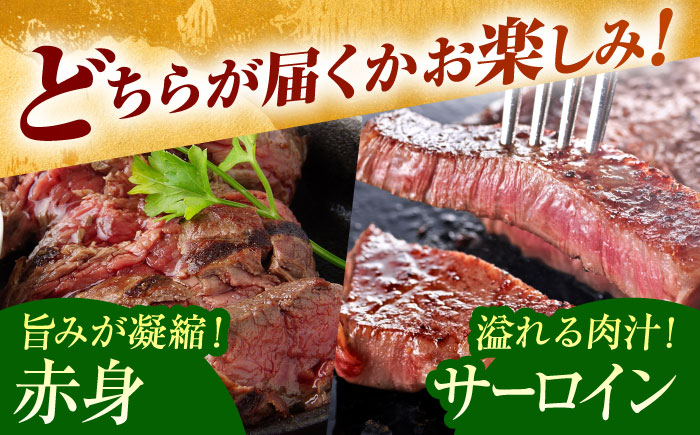 佐賀牛 ステーキ 800g （サーロイン/赤身） 【がばいフーズ】[HCS080] 牛肉 A5ランク