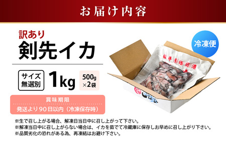 【ふるさと納税】【急速冷凍】【訳あり】生いか 天然ケンサキイカ サイズ無選別 1kg（500g × 2袋）定置網漁 皮むけ・サイズ不揃い【剣先いか 生イカ いか 白イカ いかめし いか焼き 姿焼き げ