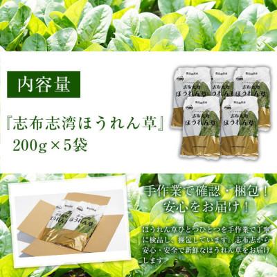 ふるさと納税 志布志市 <先行予約受付中!R7年12月頃配送予定>【数量限定】志布志湾ほうれん草計1kg(200g×5袋) |  | 01