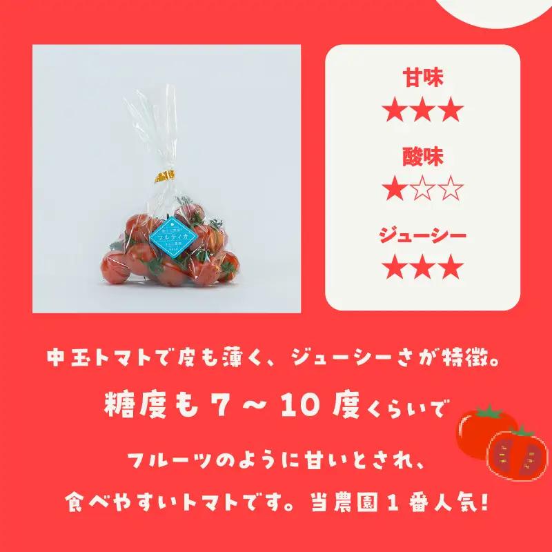 【先行予約】【2027年1月中旬以降発送】フルーツトマト　中玉フルティカ1.4kg