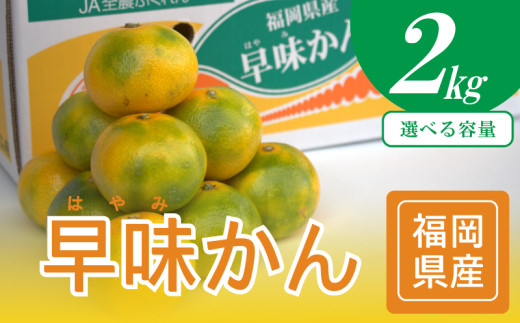 【2026年9月中旬から下旬にかけて順次発送】福岡ブランドみかん 早味かん約2kg 福岡 川崎町