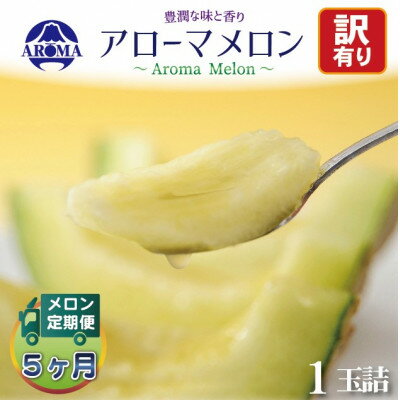 【ふるさと納税】【毎月定期便】【訳あり】アローマメロン 1玉　全5回【配送不可地域：離島・北海道・沖縄県】【4072003】
