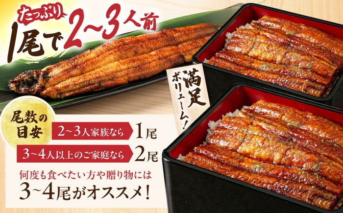 うなぎ 鰻 ウナギ 鰻蒲焼き うなぎ蒲焼き ひつまぶし うなぎ茶漬け おにぎり 国産 真空 冷凍 蒲焼 丑の日 個包装 小分け