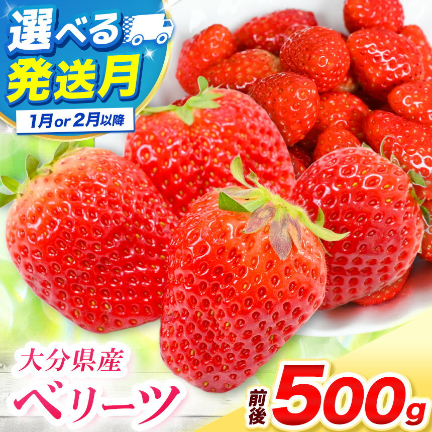 【ふるさと納税】ベリーツ 250g前後 × 2パック 選べる 発送時期 1月 / 2月以降 | 苺 イチゴ いちご ベリー フルーツ 果物 くだもの 大分県産 産地直送 大分県 中津市 送料無料【発送は2026年1月～2026年3月末頃】