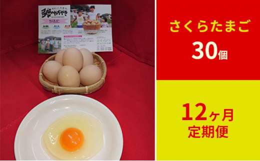 
【定期便】かわなべ鶏卵農場のこだわりのたまご　さくらたまご30個　12ヶ月連続お届け [№5714-0141]
