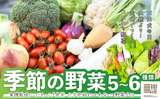 季節の野菜セット 5～6種類　70P3207 / 東北 秋田 大館 野菜 新鮮 農産物 農家  農家直送 ネギ レタス ブロッコリー キャベツ  ダイコン カブ ソラマメ カリフラワー ニンニク タマネギ ダイコン カブ ソラマメサツマイモ サトイモ 落花生 ダイコン カブ ハクサイ キャベツ ニンジン コマツナ レタス 春菊 わさび菜 カリフラワー 辛味大根 栽培期間中 農薬 化学肥料 不使用