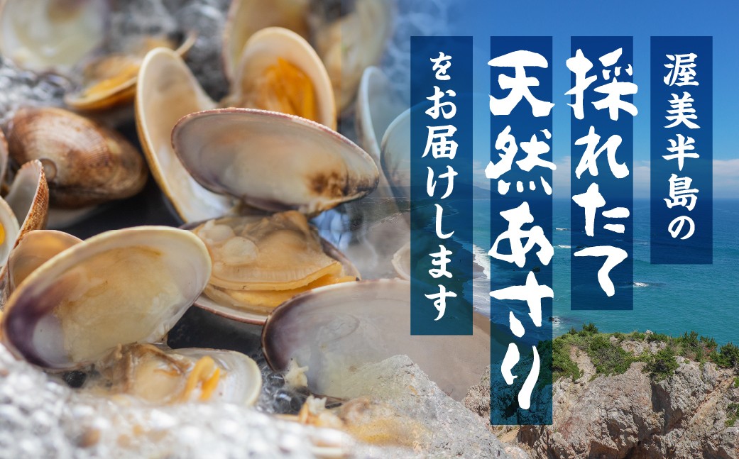 
            《先行予約》旬の渥美産 天然 活あさり 1.5kg / 2kg 先行予約 ふるさと納税 あさり 国産 ふるさと納税 アサリ 採れたて ふるさと納税 砂抜き 海鮮 魚介類 魚介 貝 送料無料 産地直送 応援 寄附
          