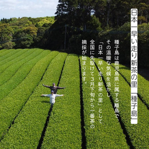 ＼先行予約／ 【たねがしまる4000】種子島 ティーパック 3点セット  NFN948【100pt】 // オーガニック 農薬不使用 一番茶 自園自製 手作業 和紅茶 緑茶 ほうじ茶