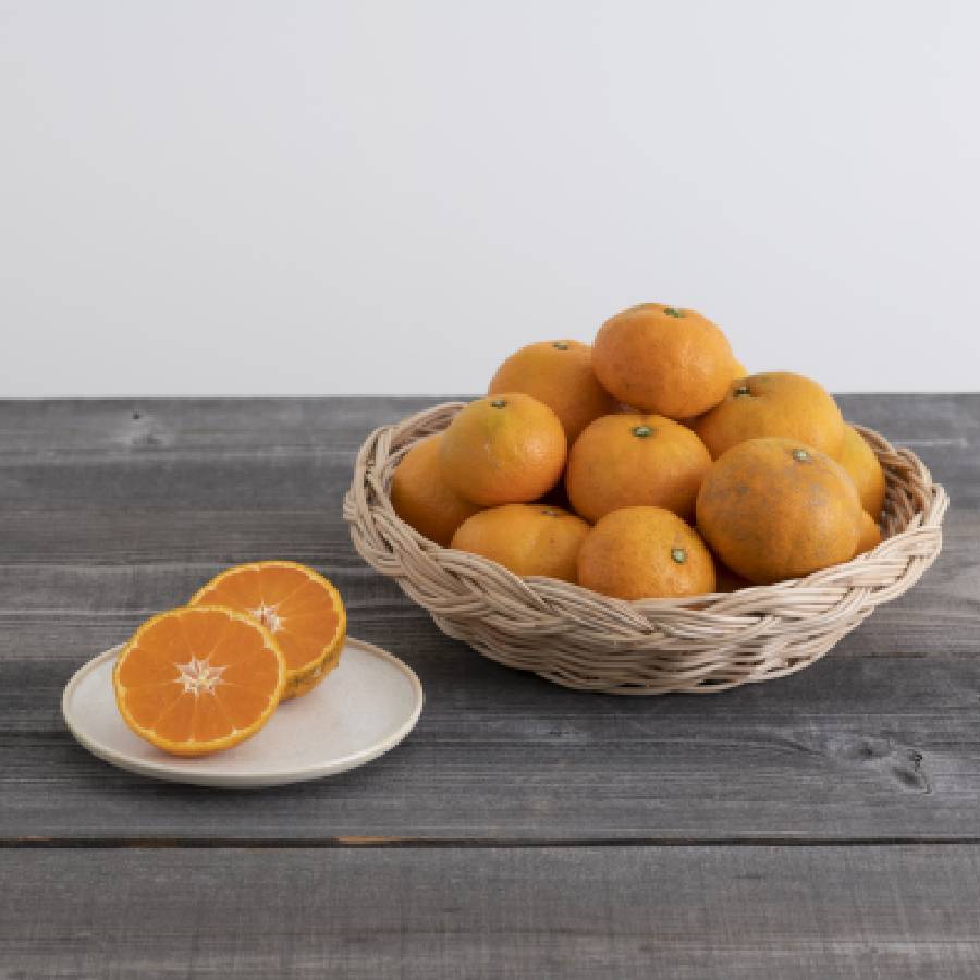 ＜無茶々園＞見た目は悪いが味は絶品　温州みかん（南柑20号）3kg