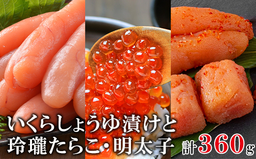 北海道産いく120g 玲瓏たらこ120g 玲瓏明太子120g 丸鮮道場水産 小分け 食べきり 食べ切り