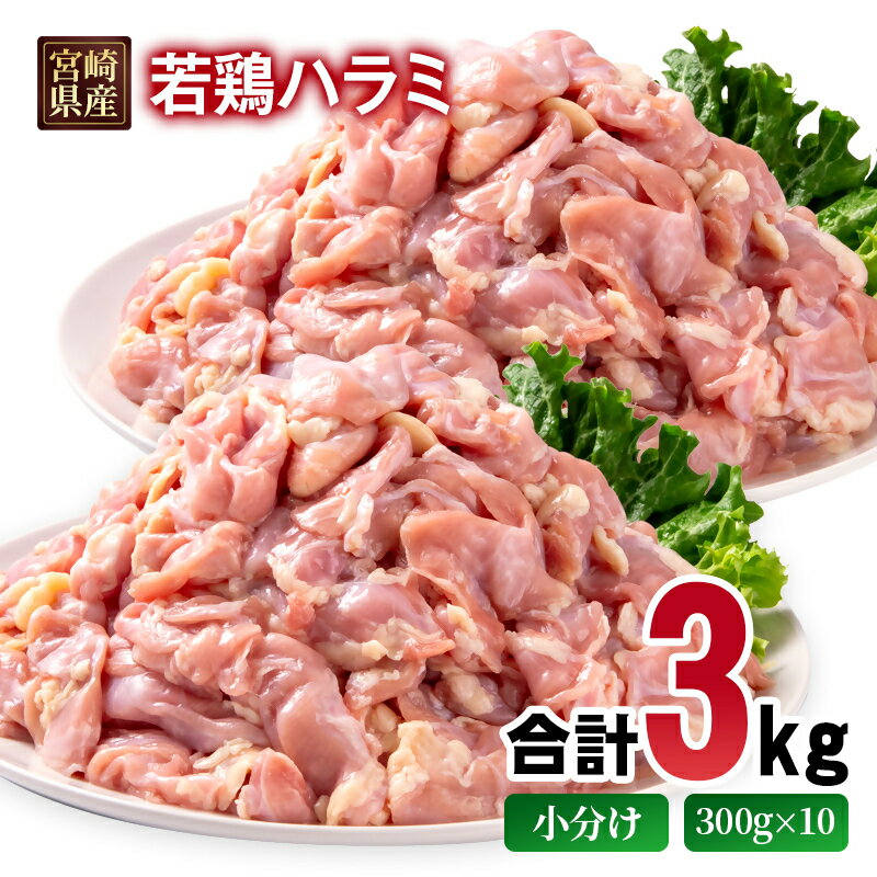 【ふるさと納税】宮崎県産若鶏 ハラミ 3kg 小分け 300g×10パック＜1.5-237＞希少部位 とり肉 国産 真空パック