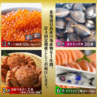 ふるさと納税 新ひだか町 <12月から順次発送>【 定期便 4回 】 北海道産 海の幸 定期便 < 先行受付 > |  | 01