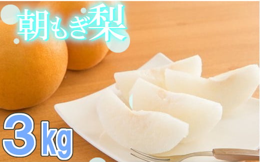 100年の歴史！！　アライファームの「朝もぎ梨」幸水・豊水・あきづき 約3kg　【11246-0352】