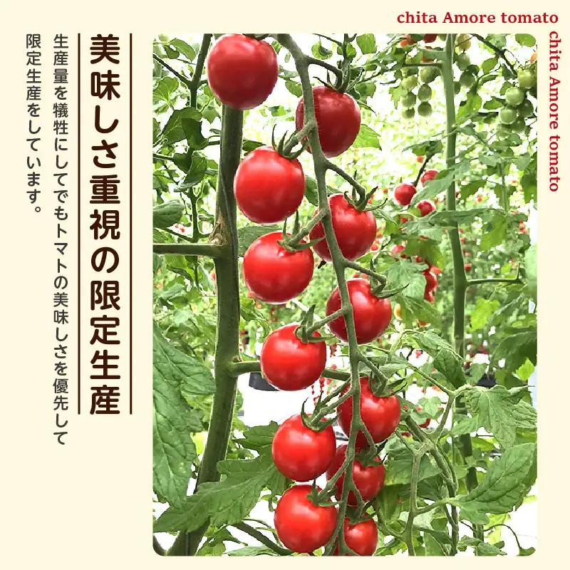 【先行予約】《11月中旬以降発送開始》有機栽培ミニトマト　知多アモーレトマト　約2kg｜トマト 野菜 知多市