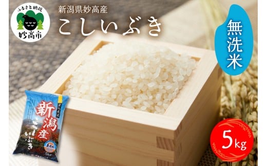 【2026年7月上旬発送】令和7年産 新潟県妙高産こしいぶき5kg 無洗米