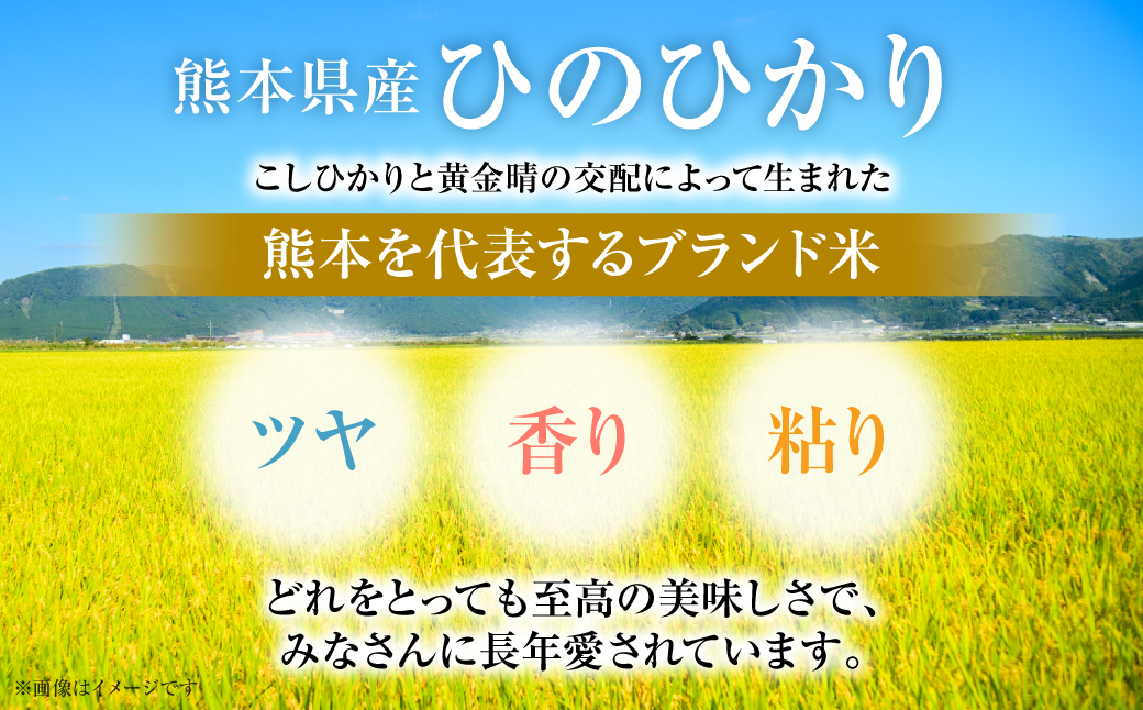 【令和6年産】 熊本県産 くまモンひのひかり 10kg （ 5kg × 2袋 ） 米 精米 白米 国産