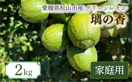【2026年9月中旬頃から順次発送】家庭用 グリーン璃の香 S～2L 2kg | 果物 くだもの フルーツ グリーンレモン ぐりーんれもん