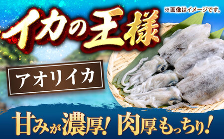 アオリイカ 刺身用 500g [JCC023] イカ刺し