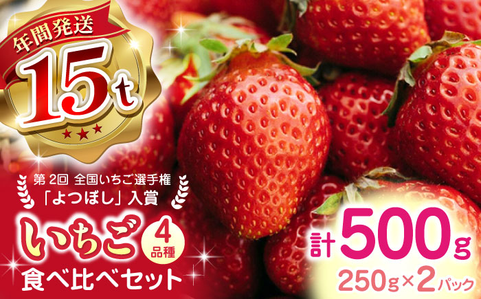 【先行予約】【2025年12月より順次発送】いちご食べ比べ セット 4品種 計500g ( 250g × 2P ) 農園直送 産地直送 熊本県産 山都町産 イチゴ ストロベリー【なかはた農園】[YBI001]
