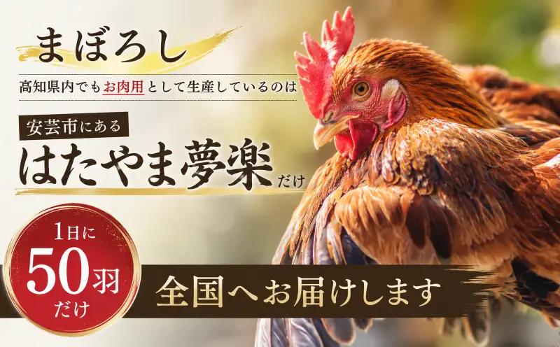 「土佐ジロー」地鶏 カット肉 400g 地鶏