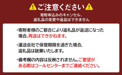 まいこのアップルパイ2個 AR081