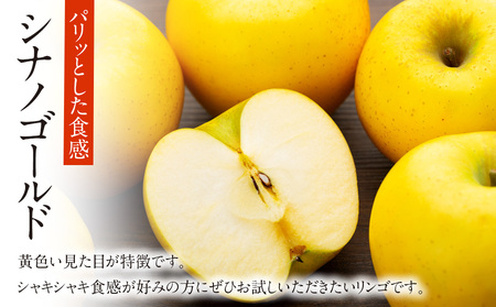 贈答用りんご サンふじ シナノゴールド 約3kg 12玉 (各6玉) りんご リンゴ 林檎 信州りんご 信濃ゴールド 果物 フルーツ 旬の果物 旬のフルーツ デザート 贈答用 ギフト 贈り物 プレゼン