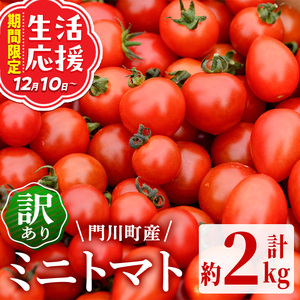 ＜先行予約受付中！2026年2～3月の間に発送予定＞訳あり 規格外 数量限定 門川町産 ミニトマト(計2kg)  訳あり 規格外 数量限定 門川町産 ミニトマト 期間限定 生活応援 とまと 野菜 ミックス 生 旬野菜 冷蔵 【X-9】【いけとも農園】