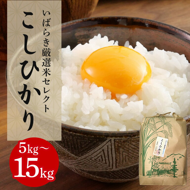【ふるさと納税】 筑波山麓産米を中心に厳選した【茨城県産こしひかり】令和7年産 白米 選べる 5kg 10kg 15kg B07-014-SKU