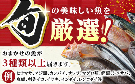 対馬 旬の刺身セット 【真心水産】《対馬市》 新鮮 海鮮 冷凍配送 刺身 島魚 海鮮丼 10000円 1万円[WAK021]