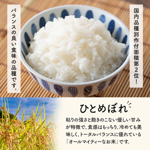 ＜令和6年産 新米＞ ひとめぼれ 10kg お米 おこめ 米 コメ 白米 ご飯 ごはん おにぎり お弁当【赤間農業開発株式会社】ta461