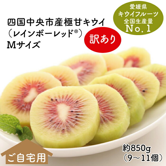 【ふるさと納税】【25年8月受付開始】＜10月下旬以降発送＞【訳あり・ご自宅用】レインボーレッドキウイ（四国中央市産レインボーレッド） M サイズ 約850g（9個〜11個）