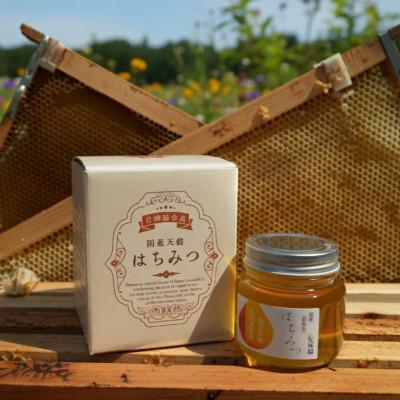 ふるさと納税 和泉市 大阪府和泉市　国産天然はちみつ(180g×3)　日蜂協会員　無添加　自家採蜜　大植養蜂園 |  | 03