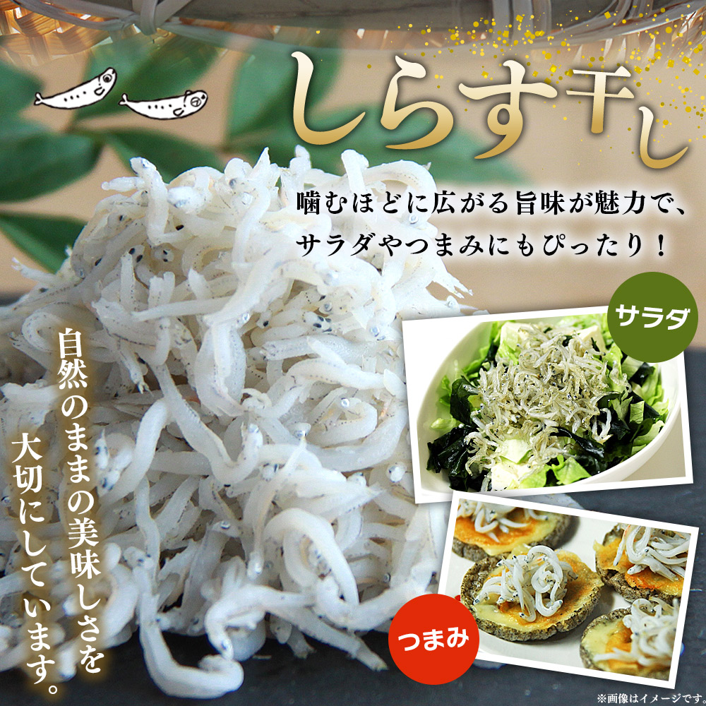 ＜【2回定期便】漁師さん自慢のしらす干し 合計500g（100g×5パック）＞ シラス 魚介類 さかな 海産物 海鮮 海の幸 小分け 国産 ご飯のお供 丼 おつまみ 晩酌 おかず おやつ 特産品 産地