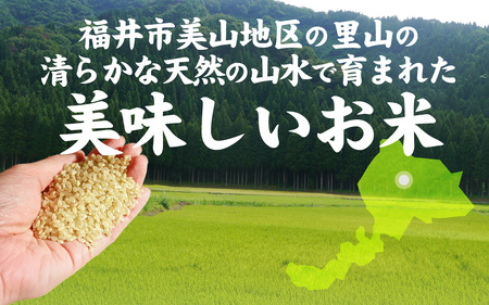 【先行予約】【内田農園・ピロール米】令和7年産 福井県産いのちの壱 3kg 精米 減農薬栽培 【10月下旬順次発送】 [A-168001_02] / 3kg 精米